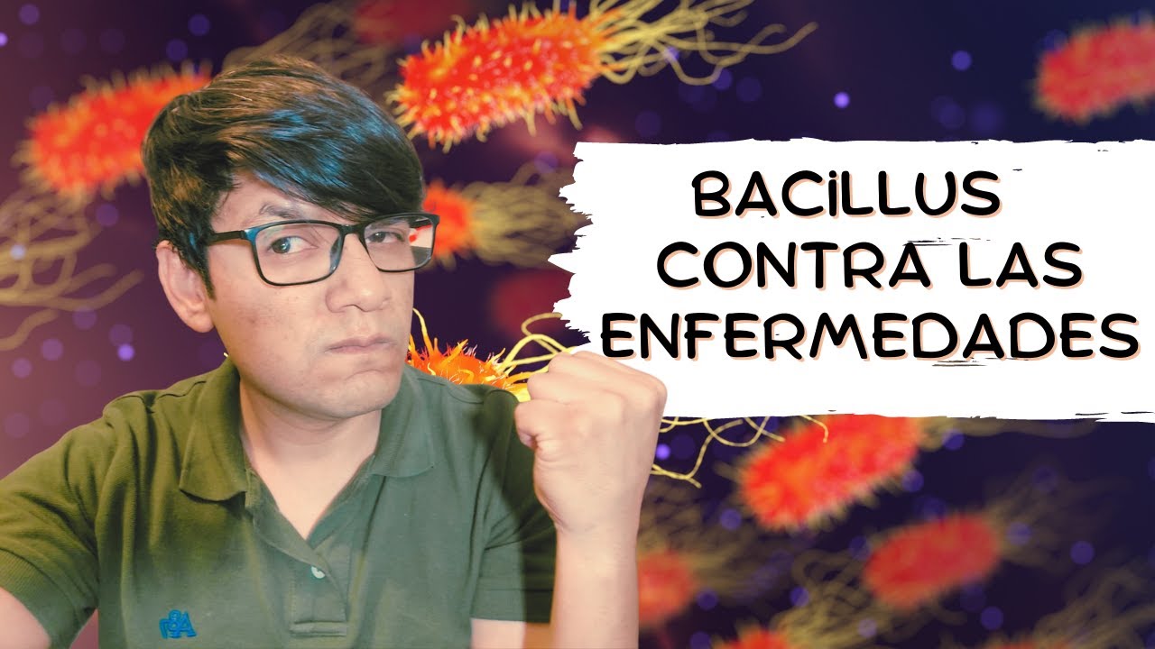 Uso de BACILLUS para controlar de enfermedades en cultivos