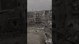 يا عارٌ عليك يا بشار💔😕