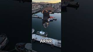 ARNR😂 ALL Risk No Reward #funny #americe #trendingshorts #usa