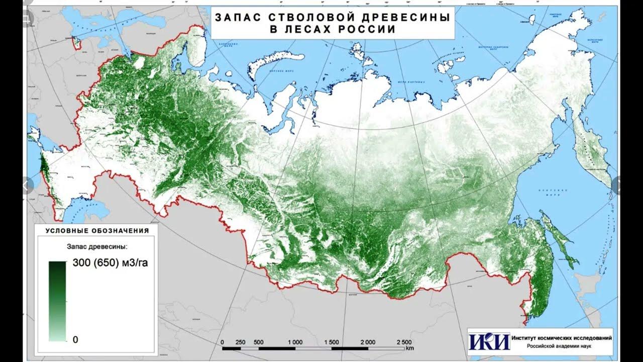 Широколиственные леса природная зона на карте. При каких значениях ку распространены леса. При каких значениях ку распространены леса. При каких значениях ку распространены леса. Географическое положение смешанных лесов на карте.