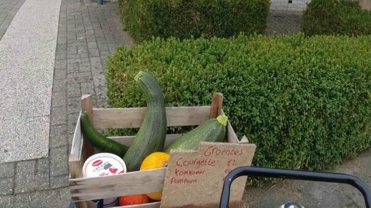 Welcome in Zaamslag Terneuzen October 2021