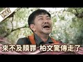 《好戲回甘》愛的榮耀 EP111 來不及贖罪  柏文驚傳走了