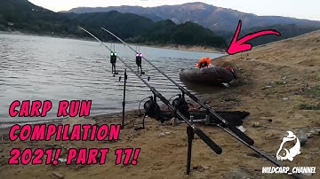 CARP RUN COMPILATION 2021! PART 17!