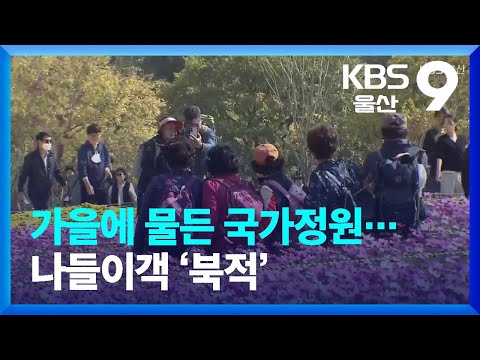 가을에 물든 국가정원 나들이객 북적 KBS 2023 10 28 