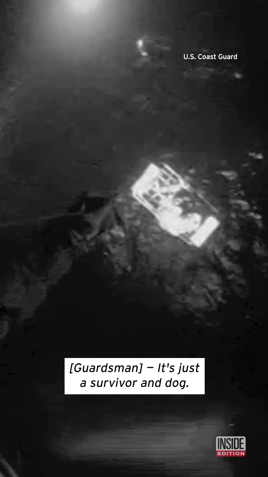 2 People, 2 Dogs Rescued From Boat by Coast Guard #shorts