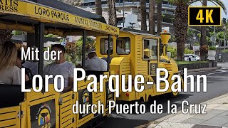 Komplette Fahrt mit der Loro Parque Bahn durch Puerto de la Cruz, Teneriffa