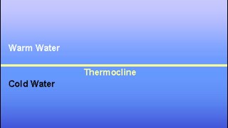 Don’t let The Summer Thermocline Intimidate You…3 Keys To Understanding It  To Catch Hogs…