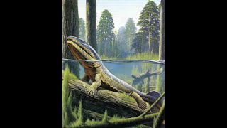 Eogyrinus: A Giant Anthracosaur Tetrapod from the Carboniferous period