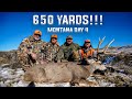 650 Yards MULE DEER Buck Goes Down (Montana General Rifle Tag)