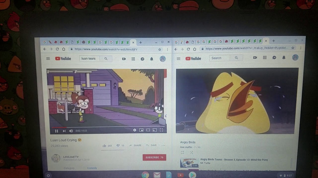 Luan Loud and Chuck Bird Crying