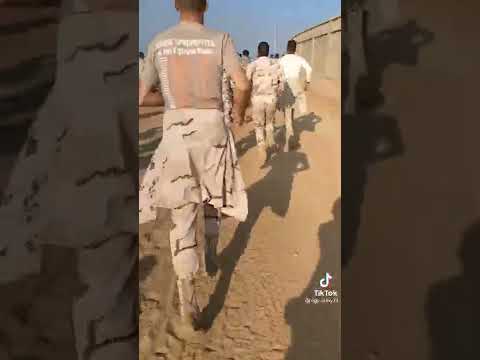 شبراوي وحسن العرسان الجيش المصري 