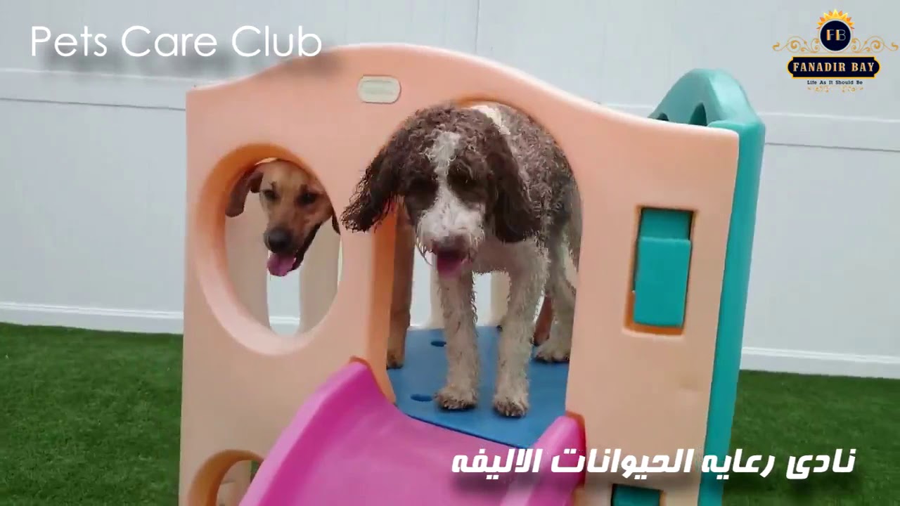 فنادير باي الغردقة أوراسكوم للتطوير العقاري - Fanadir Bay El Gouna - فيديو المشروع
