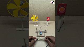Create Your Own LED Light and DC Motor Control Switch – Simple Science Project - officialrishutech