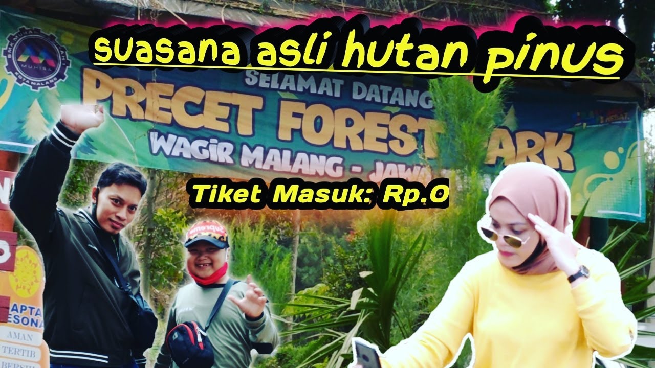 Precet Forest Park | Suasana Asli Hutan Pinus | Desa wisata Wagir, Malang