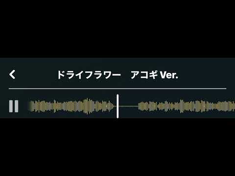 【歌ってみた】【アコースティックバージョン】優里 ドライフラワー by kizoku