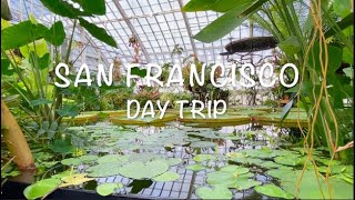 San Francisco Day Trip: Conservatory of Flowers, Sightseeing, and Lots of Food!