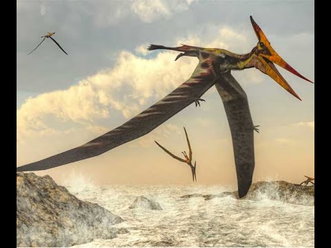 Were Pterosaurs OP by TierZoo Reaction