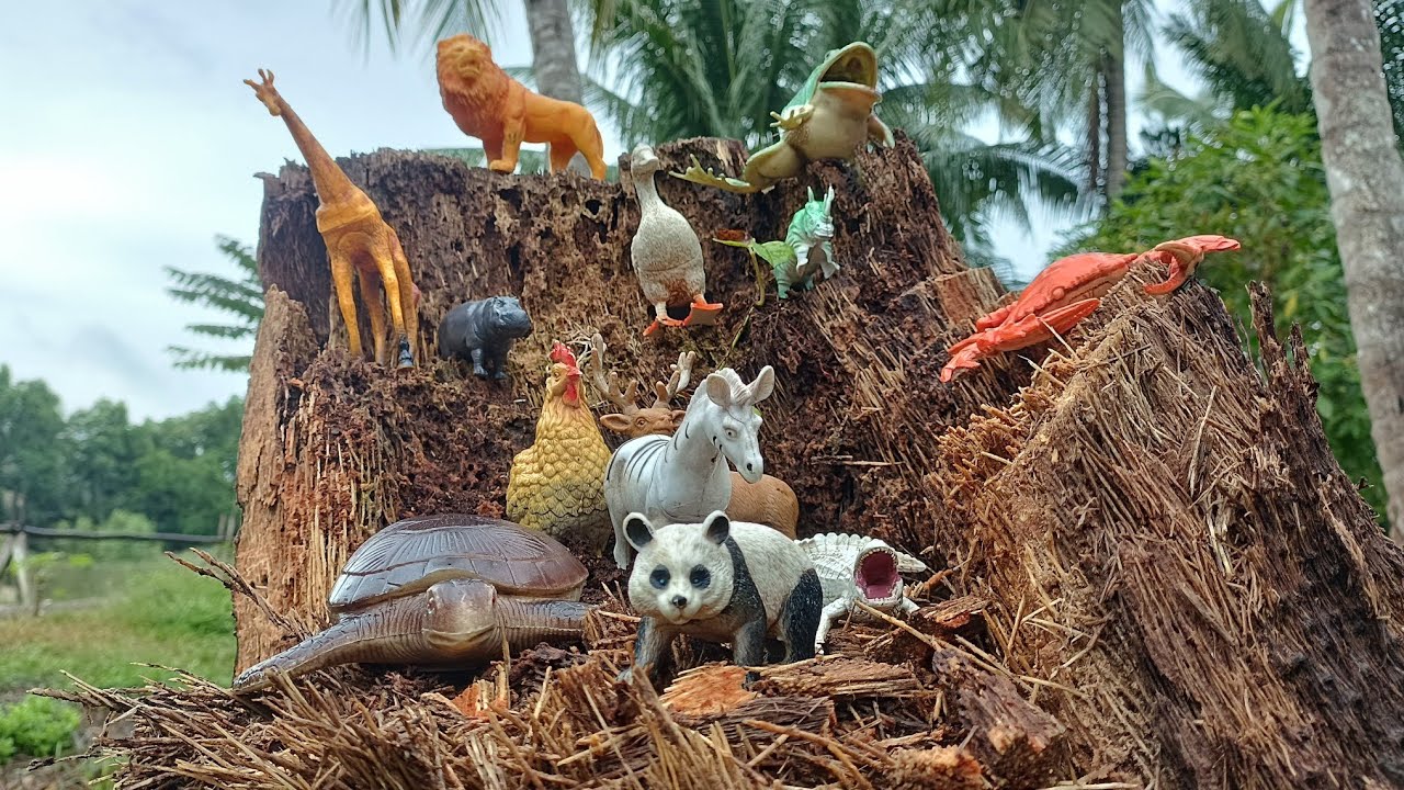 Mencari hewan panda, bebek, penyu, ayam, gajah, simpanse, singa, unta, buaya, kangguru