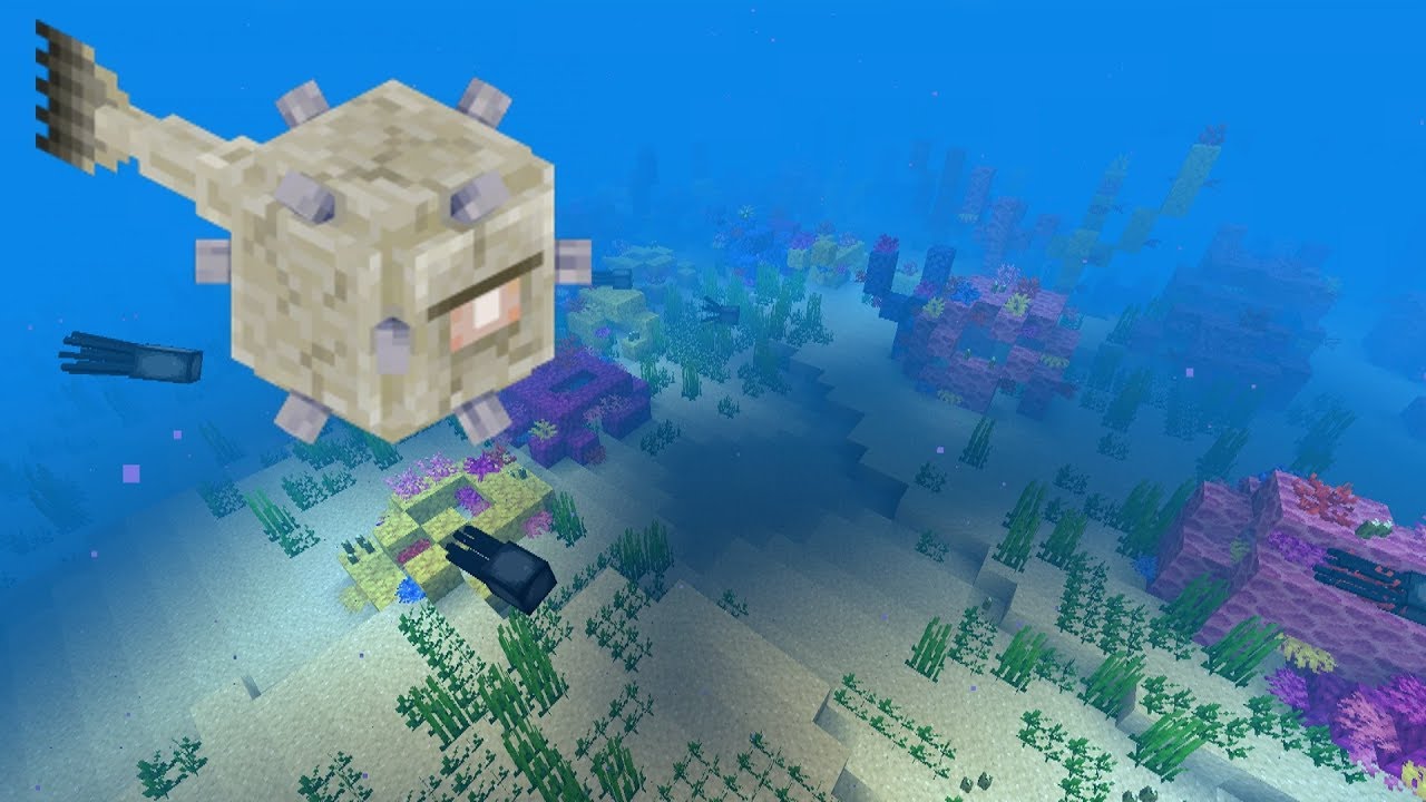 ENDLESS OCEAN II - Minecraft 1.13 (Beta Test) - 3,026 views  Streamed live on 22 Apr 2018
Donate to the stream: https://streamlabs.com/fitmc
My Twitter: https://twitter.com/SonOfShoop
My Instagram: https://ww