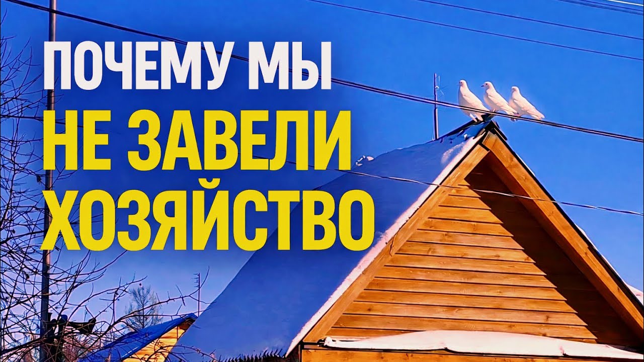 Мы не завели хозяйство. Почему? Честно о деревенской жизни