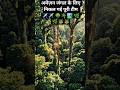“रहस्यमयी जंगल की तरफ हमारी उड़ान शुरू✈️ #amazonjungle#jungleexplore#viral#youtube shorts#ytshorts