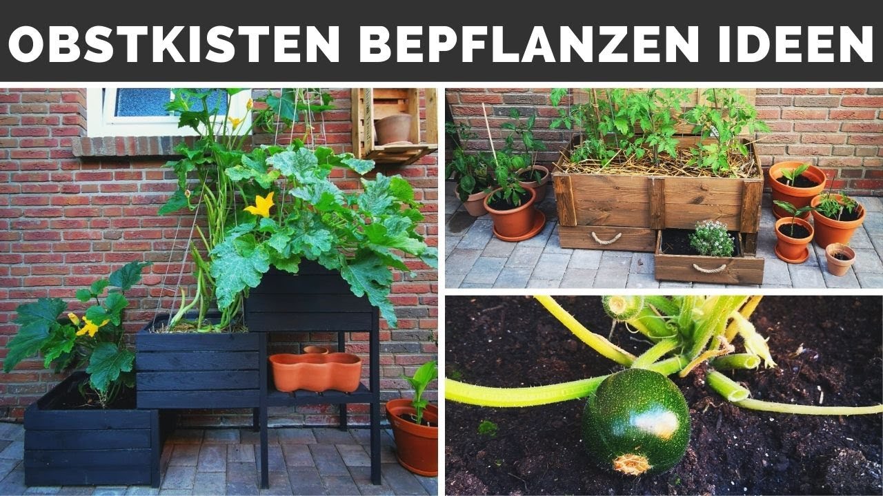 Garten - Balkon - Terrasse Deko Ideen - Obstkisten Hochbeet bauen