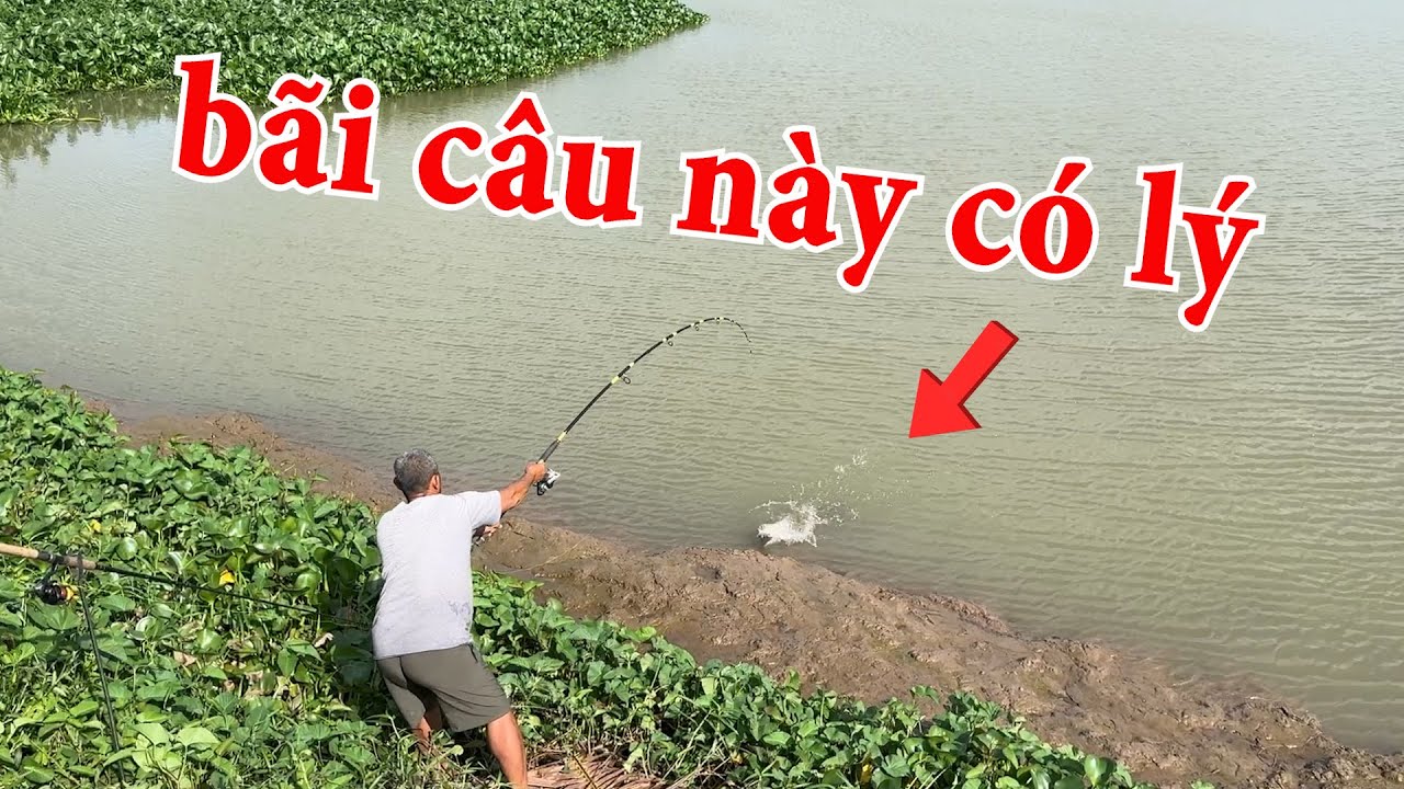 CÂU CÁ TRA TRONG HẦM HOANG ĐỤNG Ổ CÁ TRA