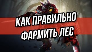 КАК ПРАВИЛЬНО ФАРМИТЬ ЛЕС ДОТА (RADIANT)