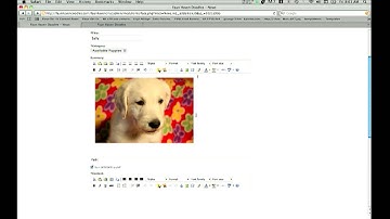 Adding Articles with the News addon in CMS Made simple