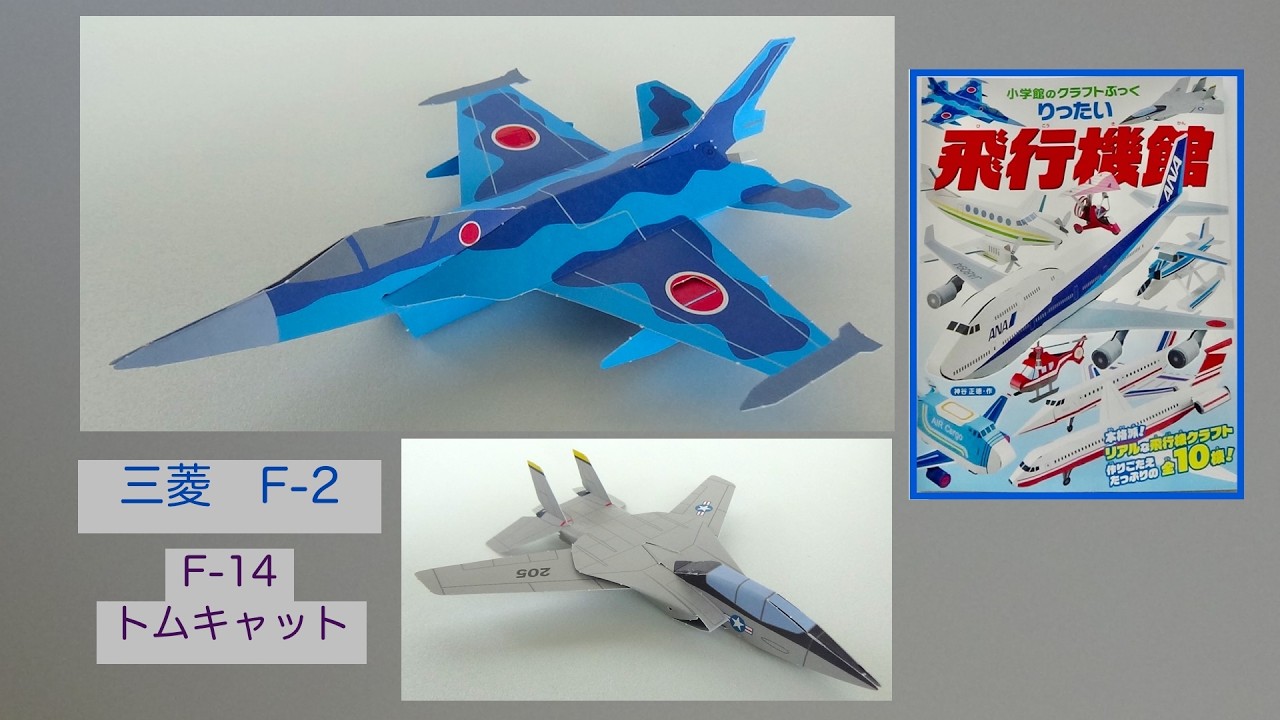 三菱 F - 2 (日本航空自衛隊) F - 14 トムキャット (アメリカ海軍