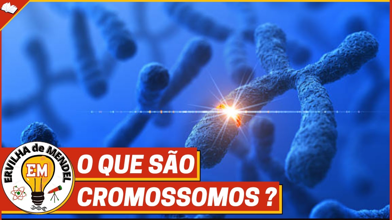 Cromossomos | Tipos de cromossomos | O que são cromossomos ?
