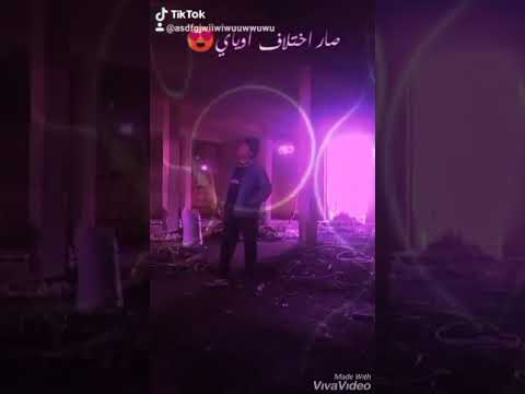 اركان الدب ابن حي العامل موال حلو