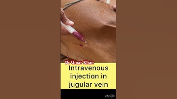 Intravenous injection in jugular vein l dr Umar Khan