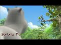 سفاله هتموتك من الضحك