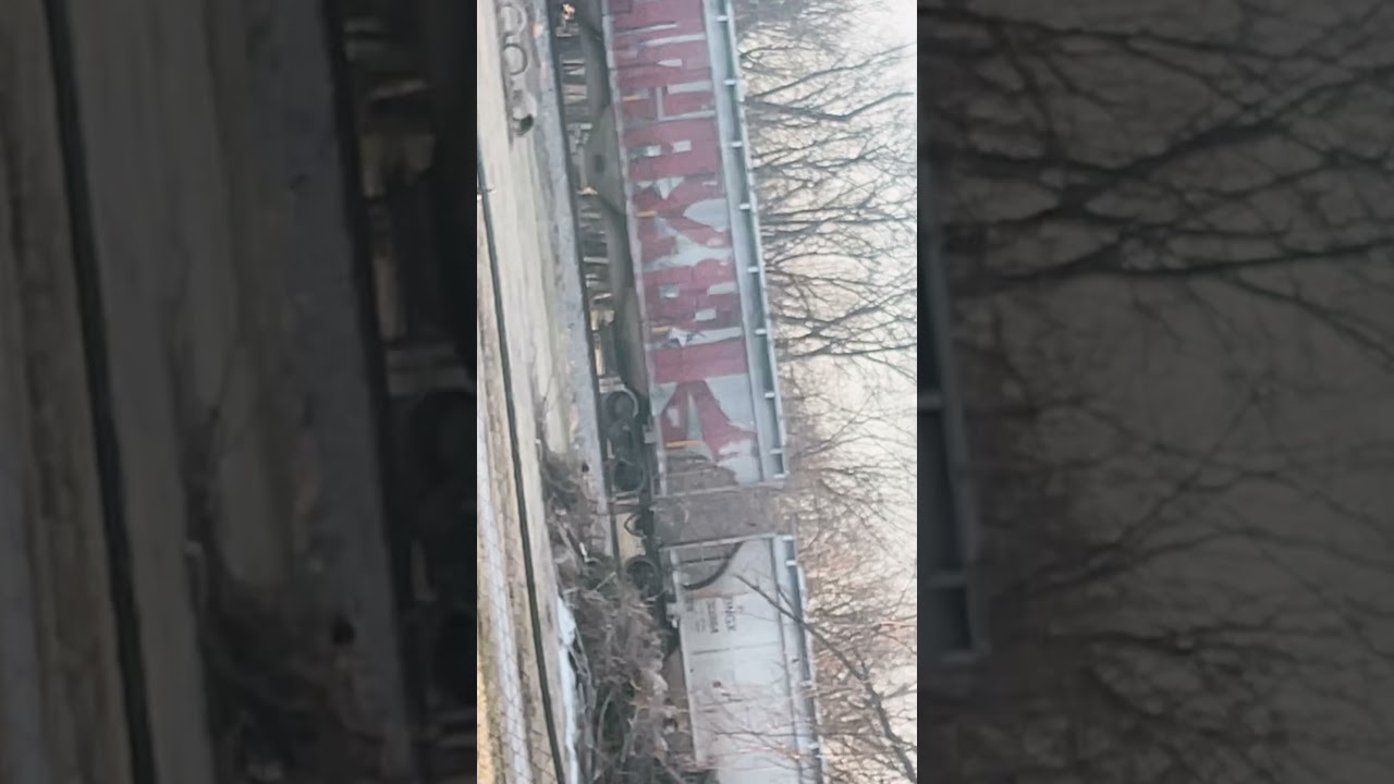 For you Ozzy Osborne 