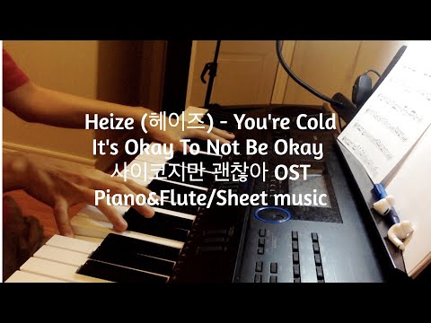 Heize (헤이즈) - You're Cold | It's Okay To Not Be Okay 사이코지만 괜찮아 OST【虽然是精神病但没关系】OST 黑泽 - ZQFlute
