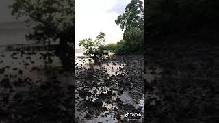 Keindahan pulau buroto desa alle-alle