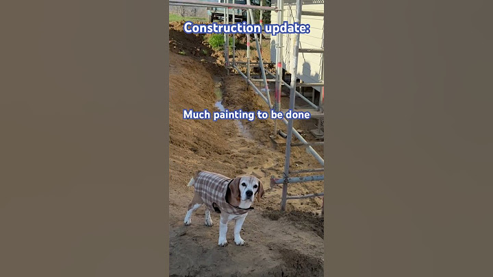 #construction #update #house #home #building #homestead #offgrid #beagle #kithomes