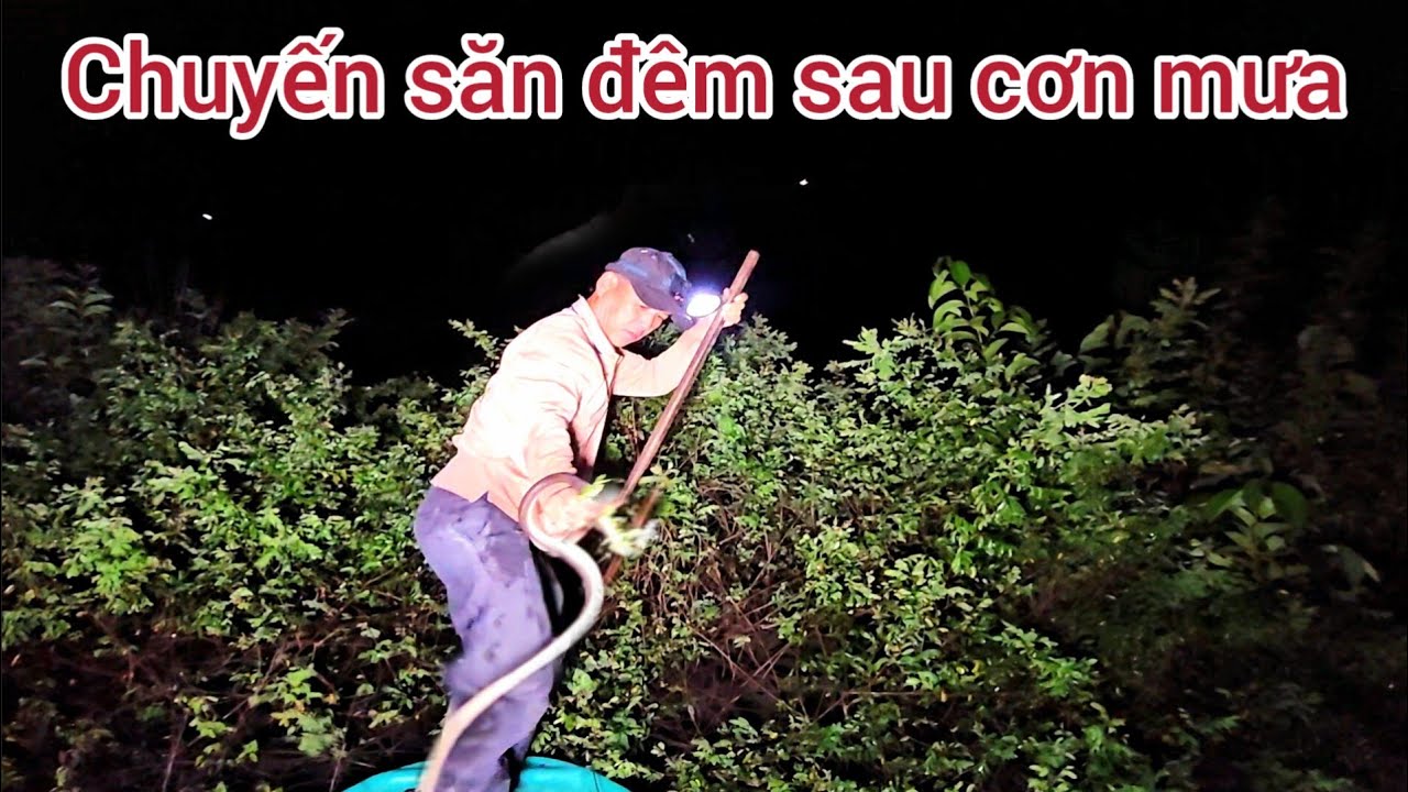 19 l Trải nghiệm,,săn đêm ở miền tây