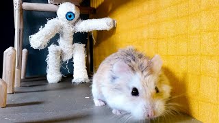 MAJOR HAMSTER vs ZOMBIES and HAMSTER MAZE with TRAPS stories #hamster #maze #monster