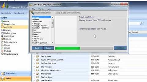 Microsoft and CRM: Display Numeric Fields Without Commas for Script Generator Product