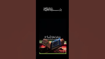 #القرآن الكريم _أجر لي ولكم _أرح سمعك وقلبك _أكتب شيء تؤجر عليه #🌹🦋🤍🌿