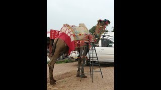 Mandav Trip In Monsoon