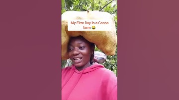 How Cocoa is processed! Day 1 in a Cocoa farm 😂 #shorts