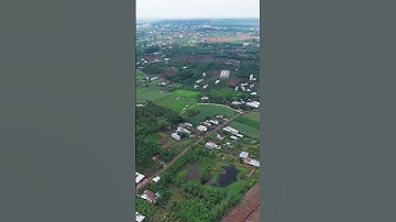 Vỡ Nợ Vì Cờ Bạc – Buộc Phải Bán Gấp Đất Vườn Giá Rẻ Bà Rịa Vũng Tàu#batdongsan #bds #ductaibds