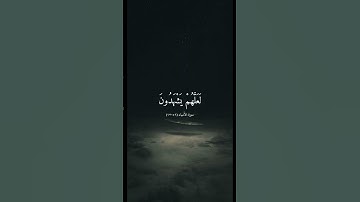 تلاوة خاشعة بصوت الشيخ ماهر المعيقلي ارح سمعك