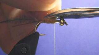 Biot Nymph.wmv