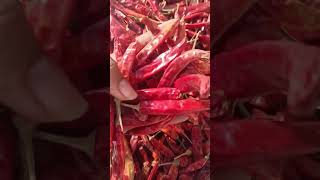 Red Chilli #mettrikinternational #redchilli #exportimport #dryredchilli