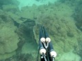 Spearfishing in Thailand 2011