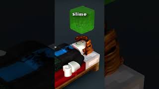 Epic Roblox Bacon Hair vs Fluid Sim | WHICH ONE IS BETTER?